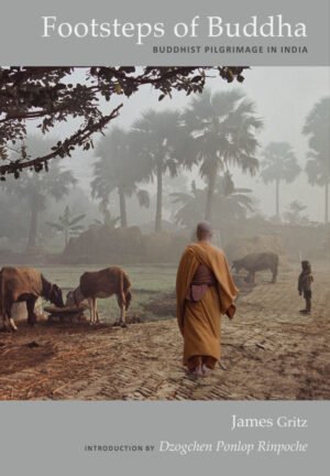 Footsteps of Buddha - Buddhist Pilgrimage in India