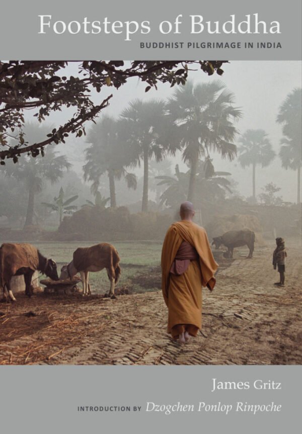 Footsteps of Buddha - Buddhist Pilgrimage in India