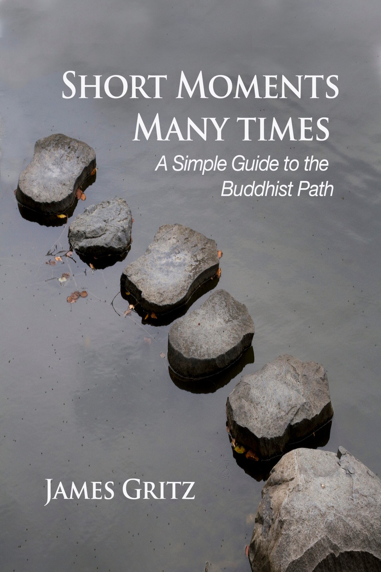 Short Moments, Many Times ebook
