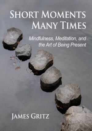 Short Moments, Many Times ebook