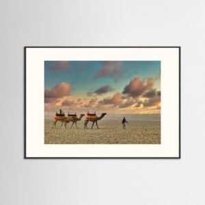 Three camels, Varanasi, India