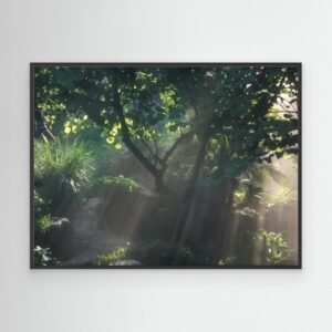 Sun rays through rainforest trees-