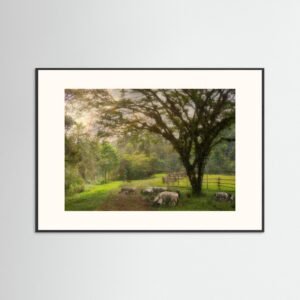 Countryside, Xico, Veracruz, Mexico