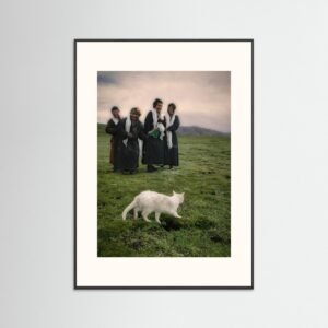 Khampa with katas and white cat